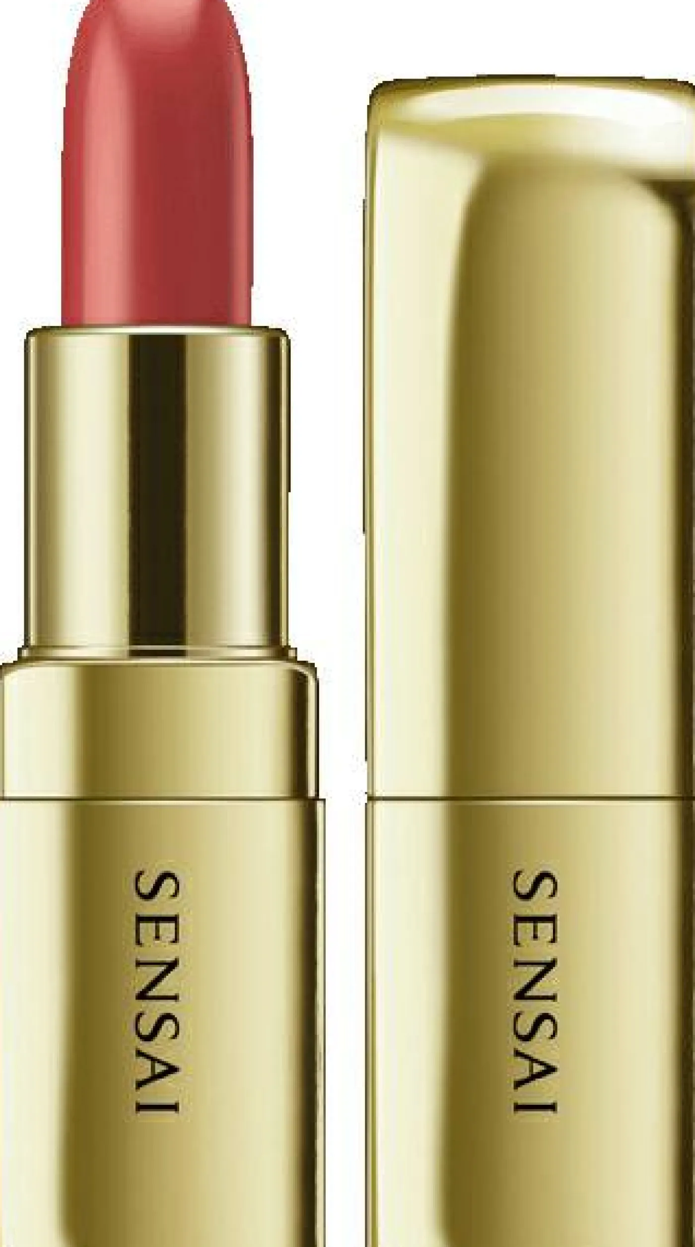 LIPPEN THE LIPSTICK