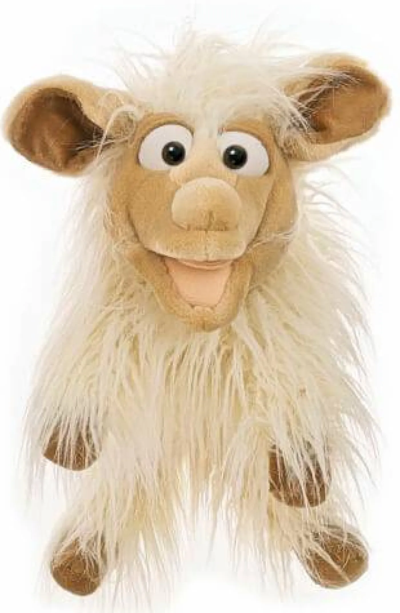 Lucy das Schaf