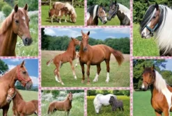 Puzzle "Pferdeträume", 150 Teile