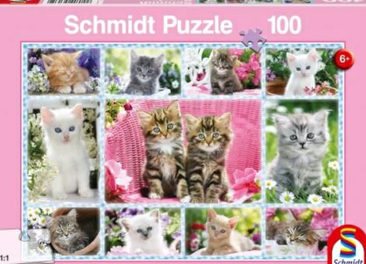 Puzzle "Katzenbabys", 100 Teile