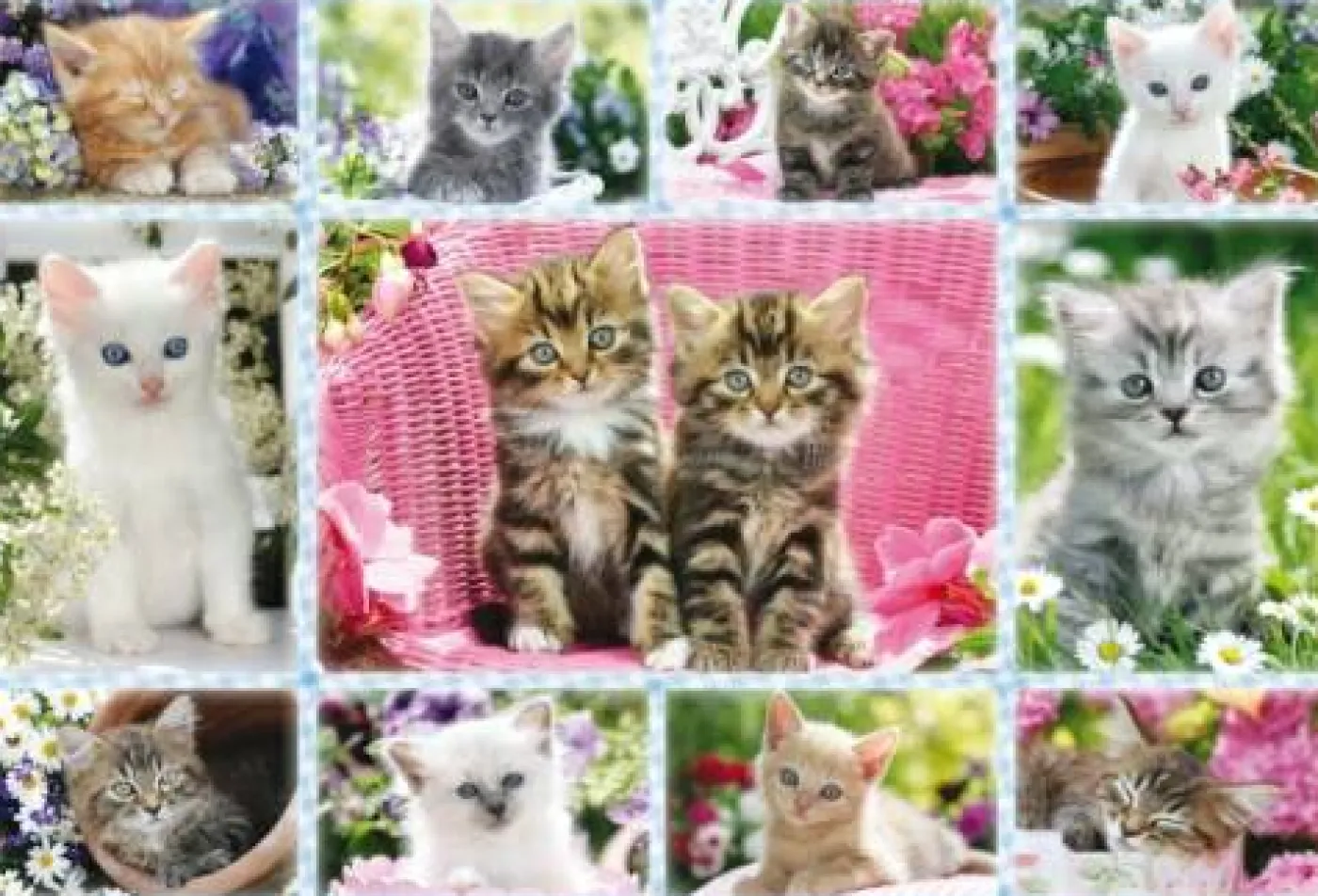 Puzzle "Katzenbabys", 100 Teile