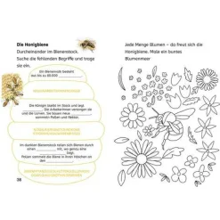 Rätsel- und Leselernbuch "Naturrätsel - Insekt & Spinne" (2. Klasse)
