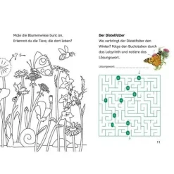 Rätsel- und Leselernbuch "Naturrätsel - Insekt & Spinne" (2. Klasse)
