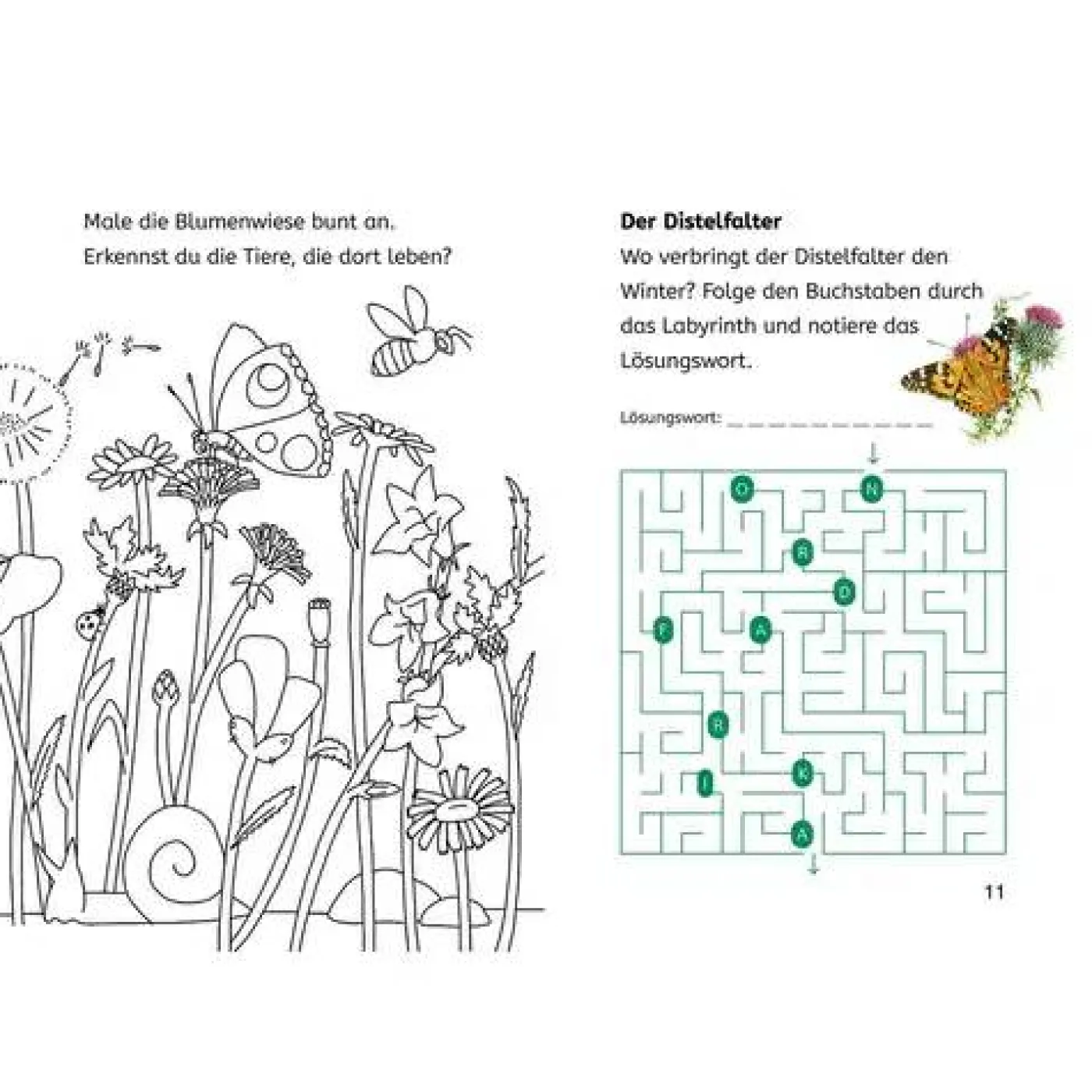 Rätsel- und Leselernbuch "Naturrätsel - Insekt & Spinne" (2. Klasse)