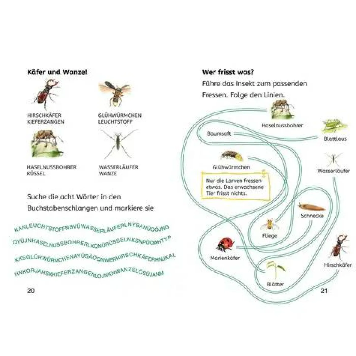 Rätsel- und Leselernbuch "Naturrätsel - Insekt & Spinne" (2. Klasse)