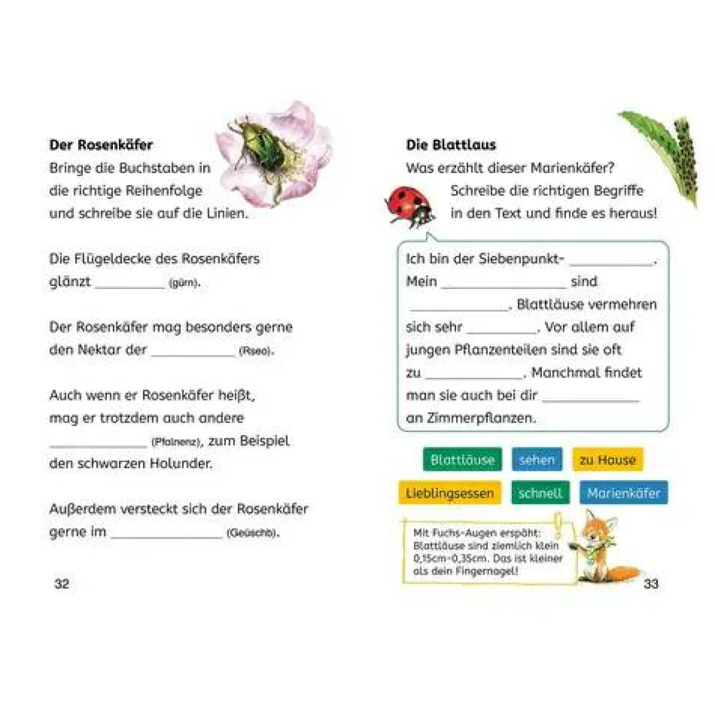 Rätsel- und Leselernbuch "Naturrätsel - Insekt & Spinne" (2. Klasse)