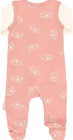 Set: Strampler + Langarmshirt