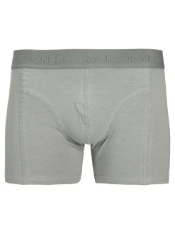 Shorts "JACORDINARY"