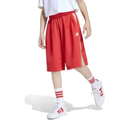 Shorts "Stadium Mesh"