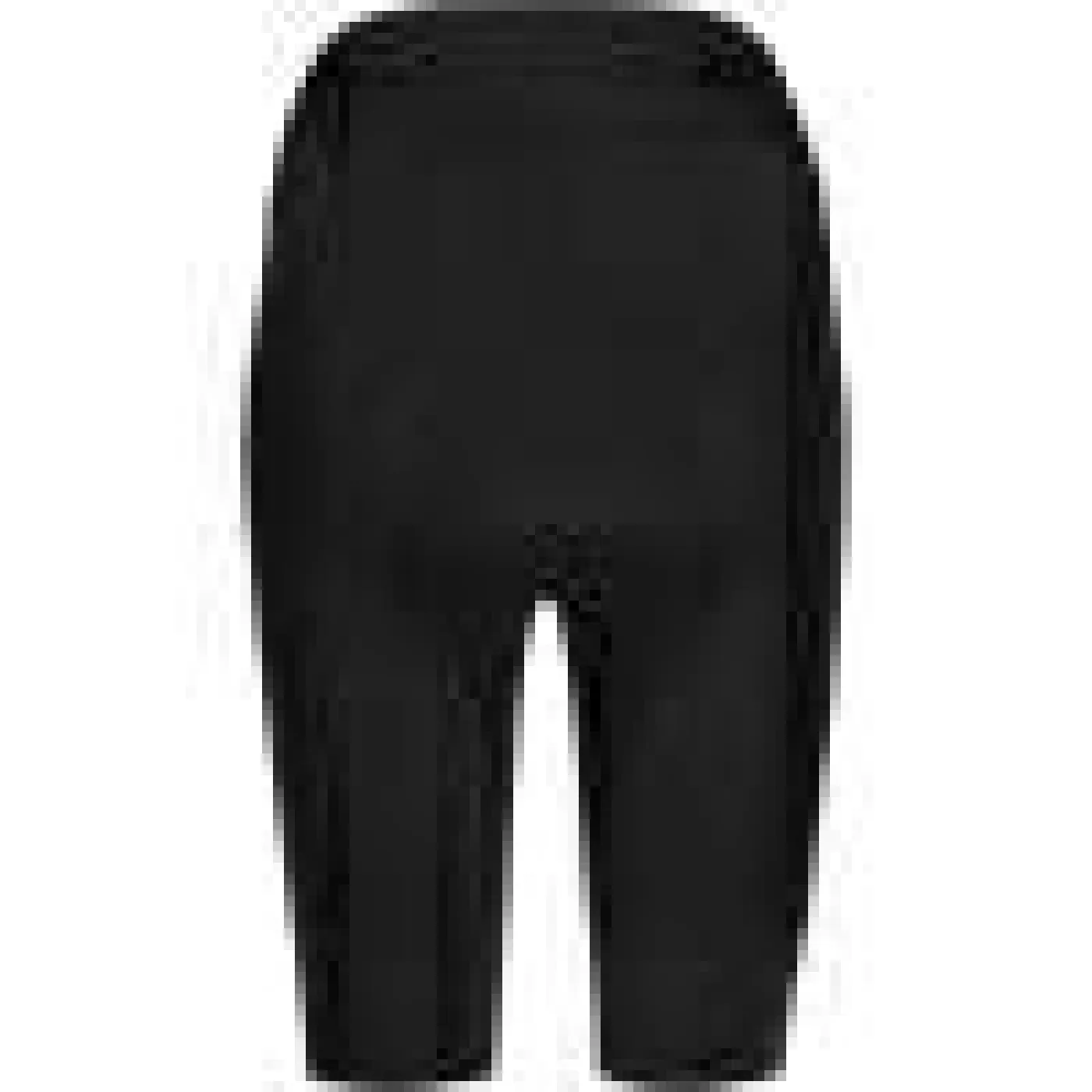 Shorts "Swiftride"