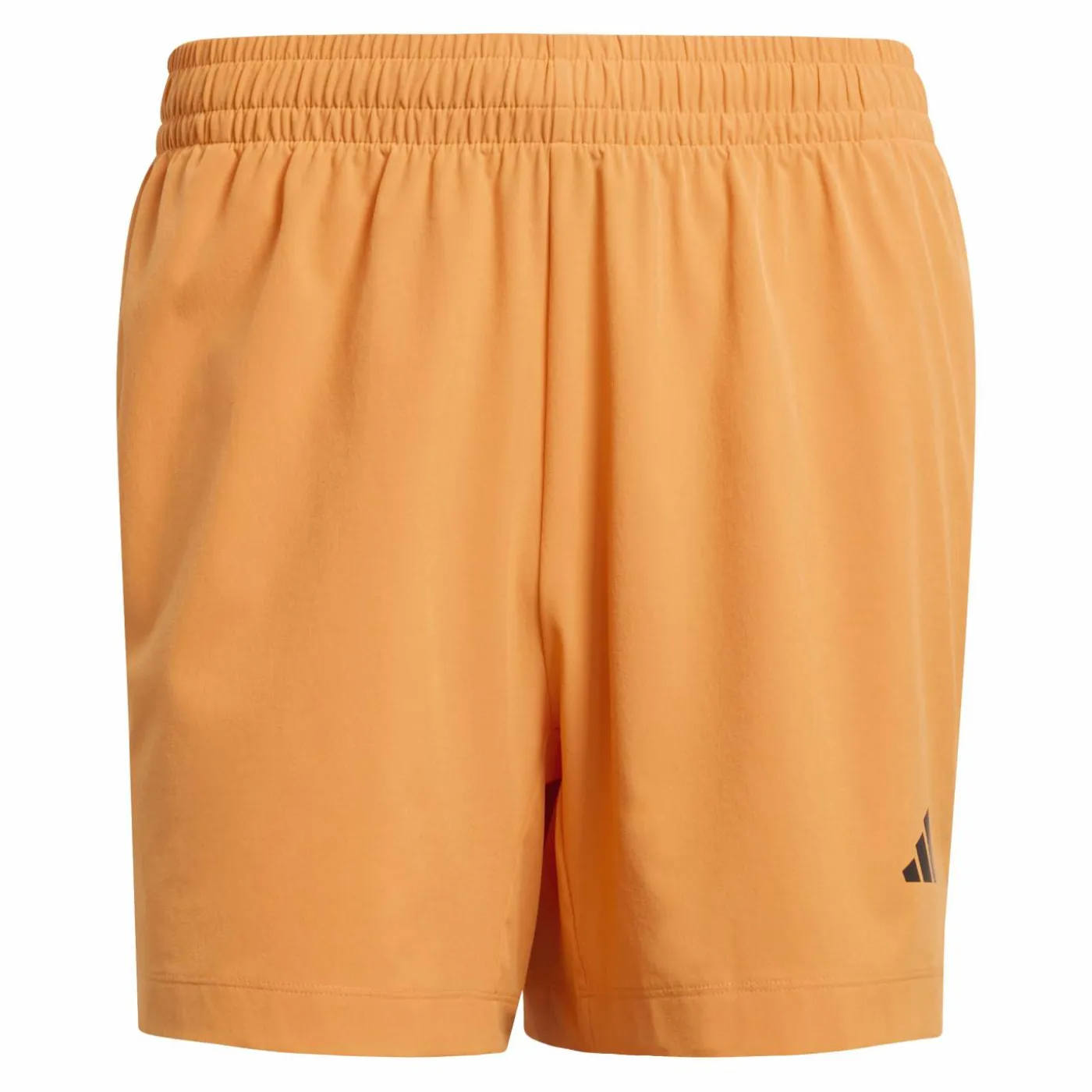 Shorts "Designed for Training"