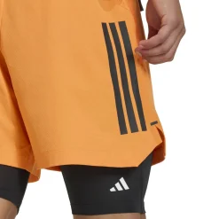 Shorts  