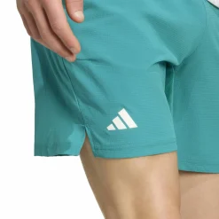 Shorts "Ergo"
