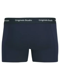 Shorts "JACVESTERBRO"