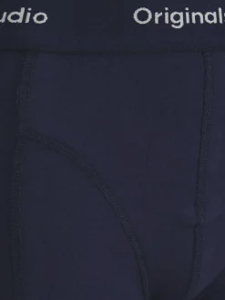 Shorts "JACVESTERBRO"