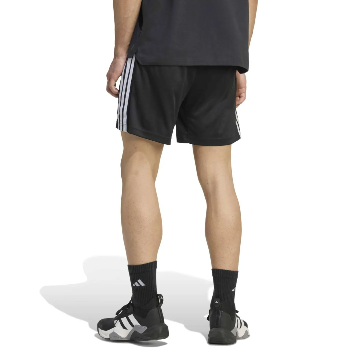 Shorts "Workout Essentials Base"