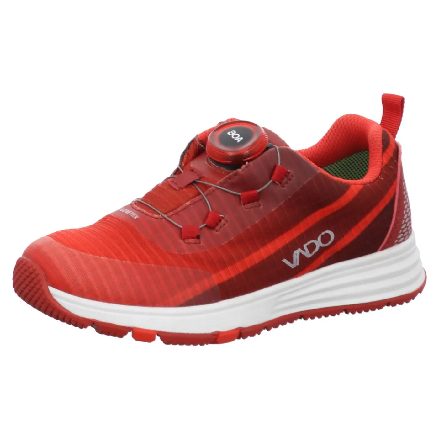Sneaker "SKY BOA GTX"