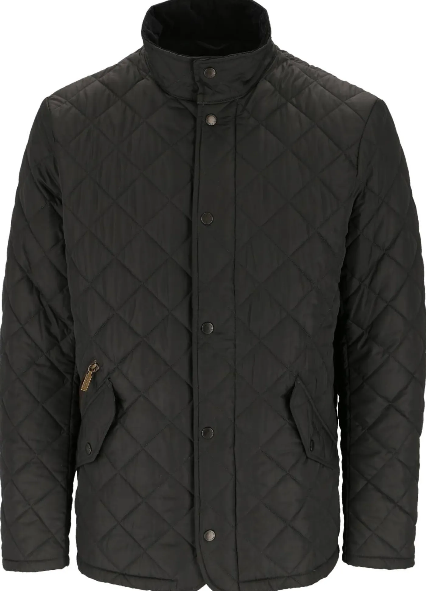 Steppjacke "Chelsea Sports"