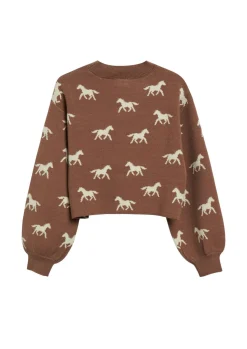 Strickpullover