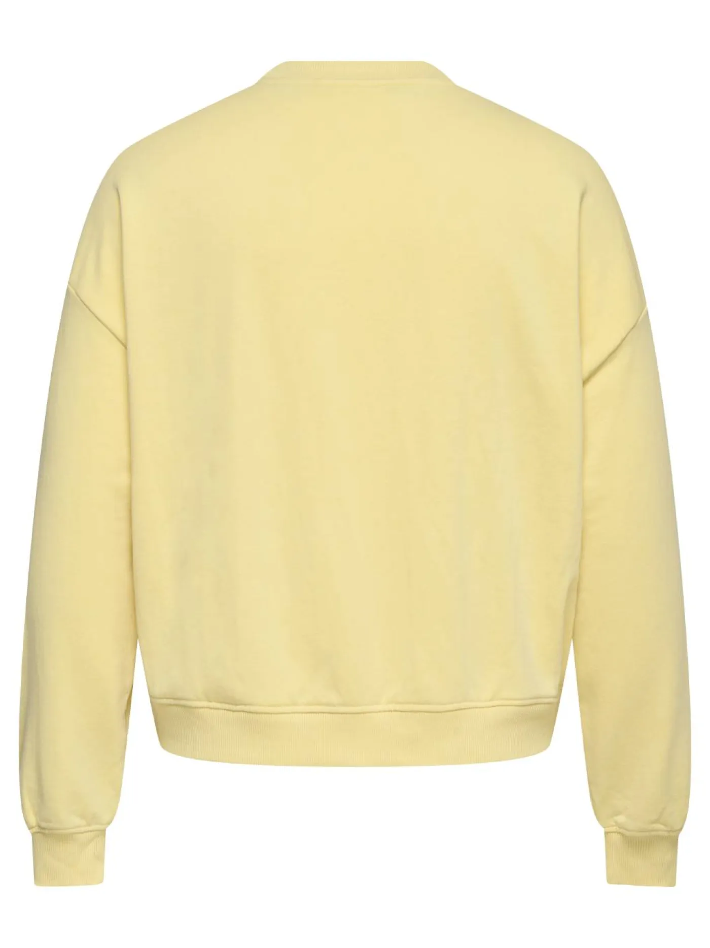 Sweatshirt "CARSANDY"