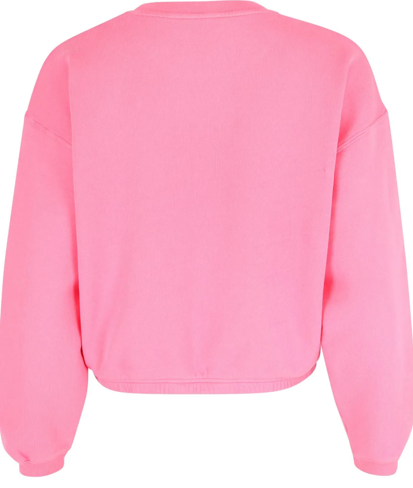 Sweatshirt "Izubird"