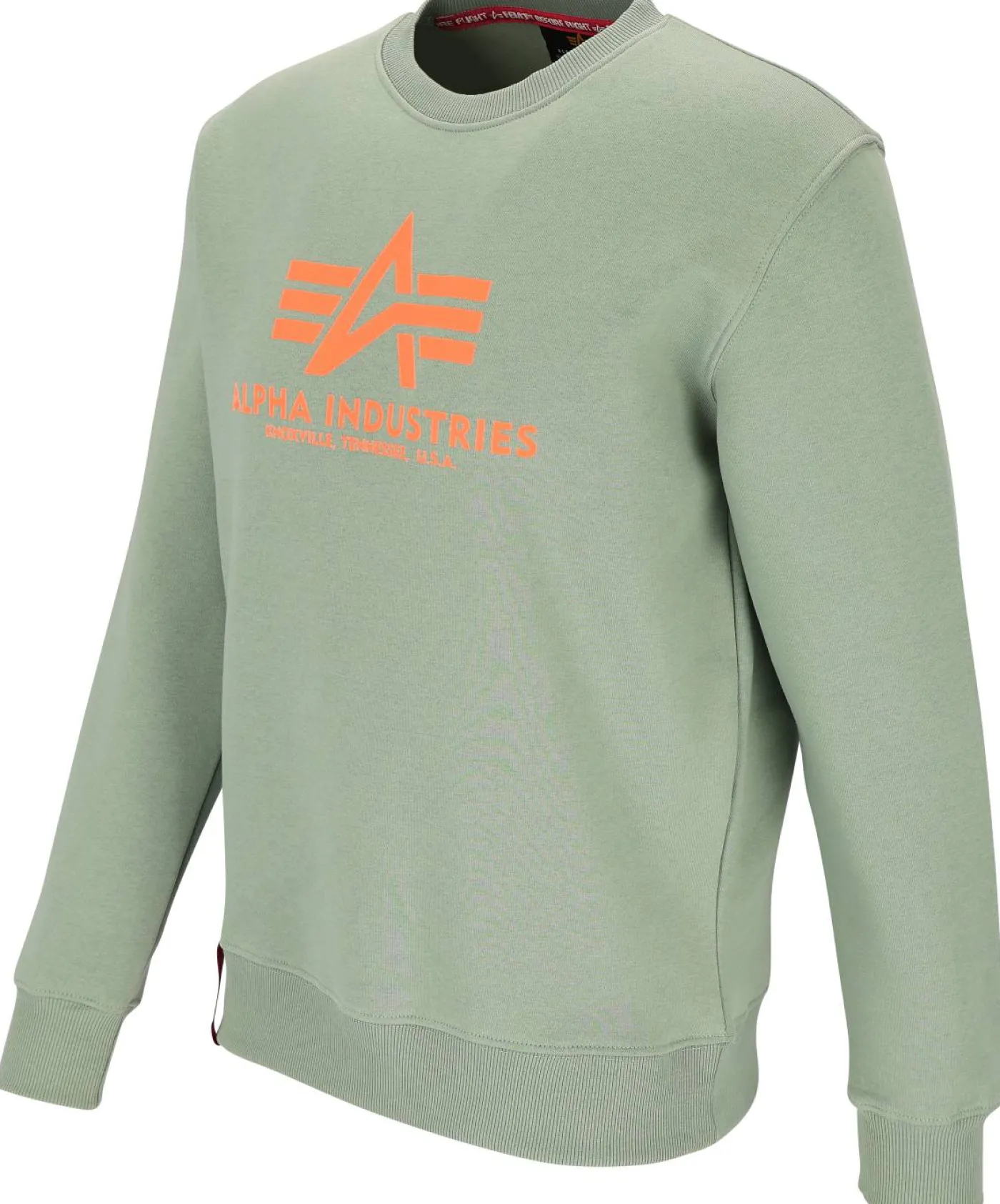 Sweatshirt "Big Logo"