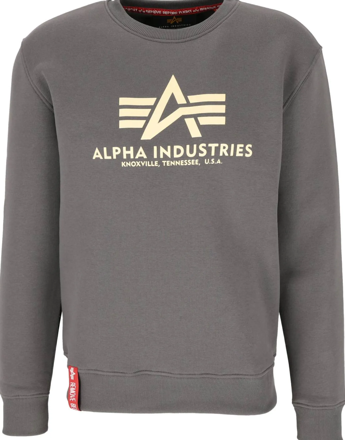 Sweatshirt "Big Logo"