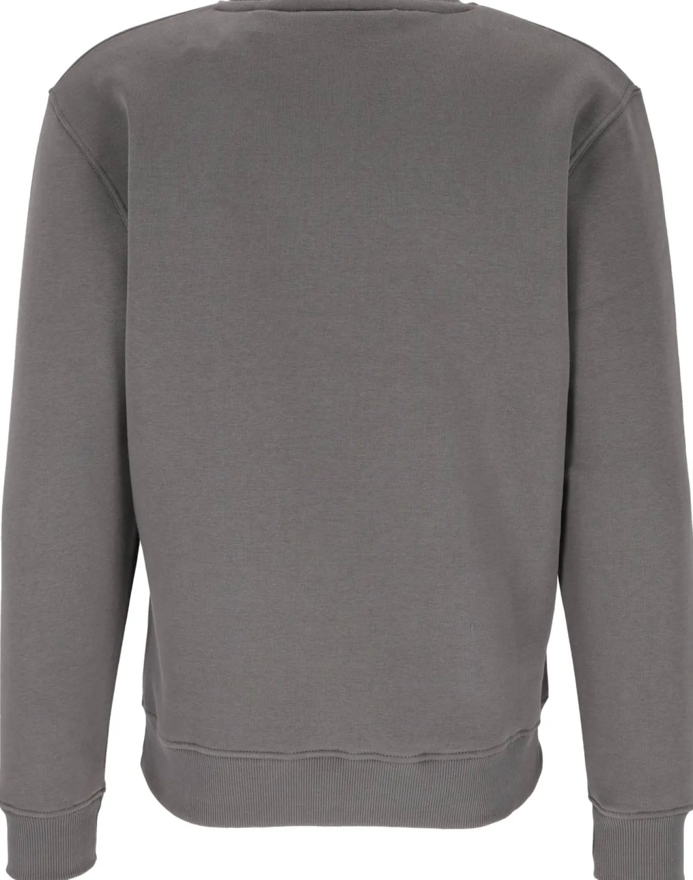 Sweatshirt "Big Logo"