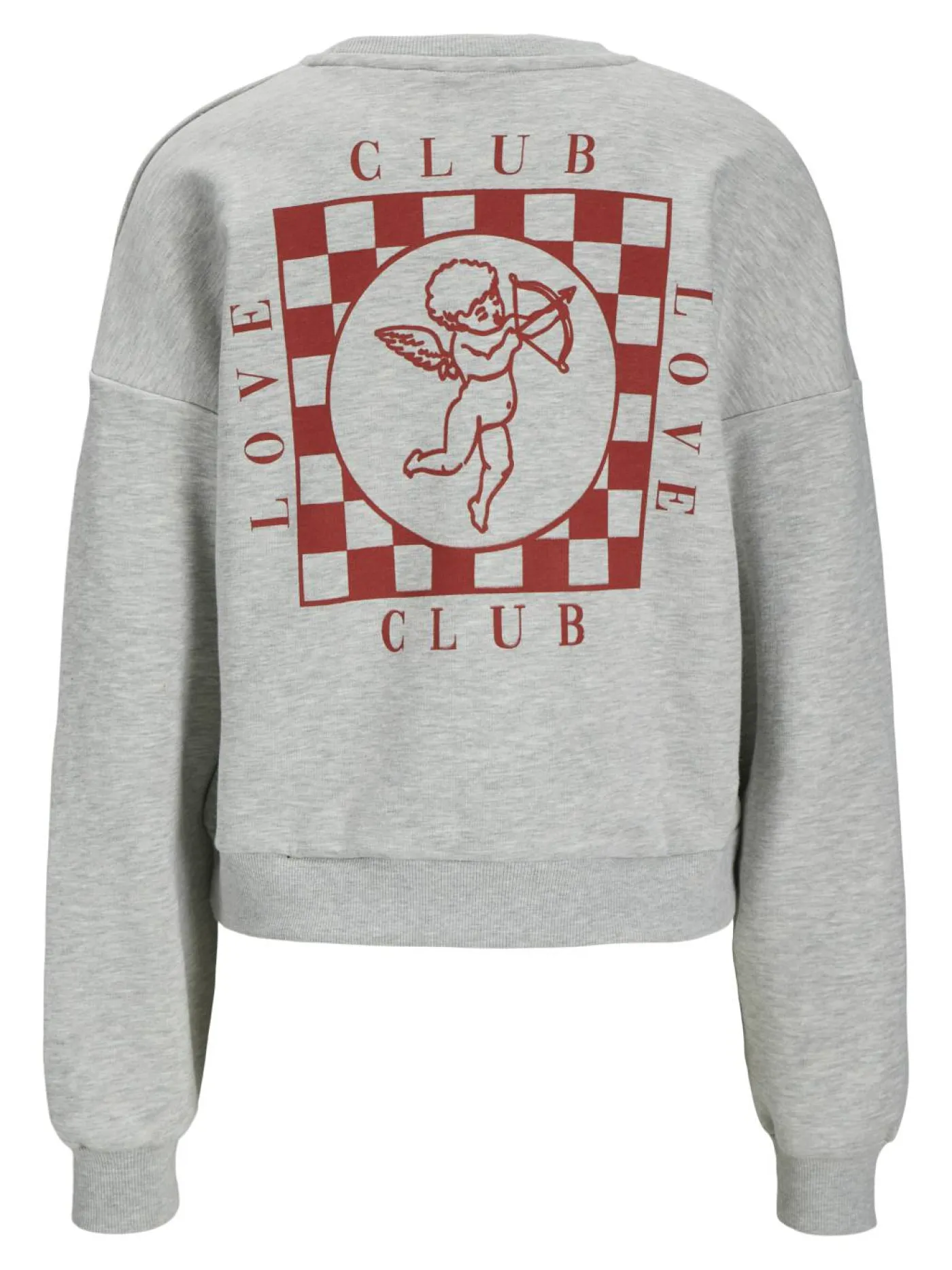 Sweatshirt "RLX"