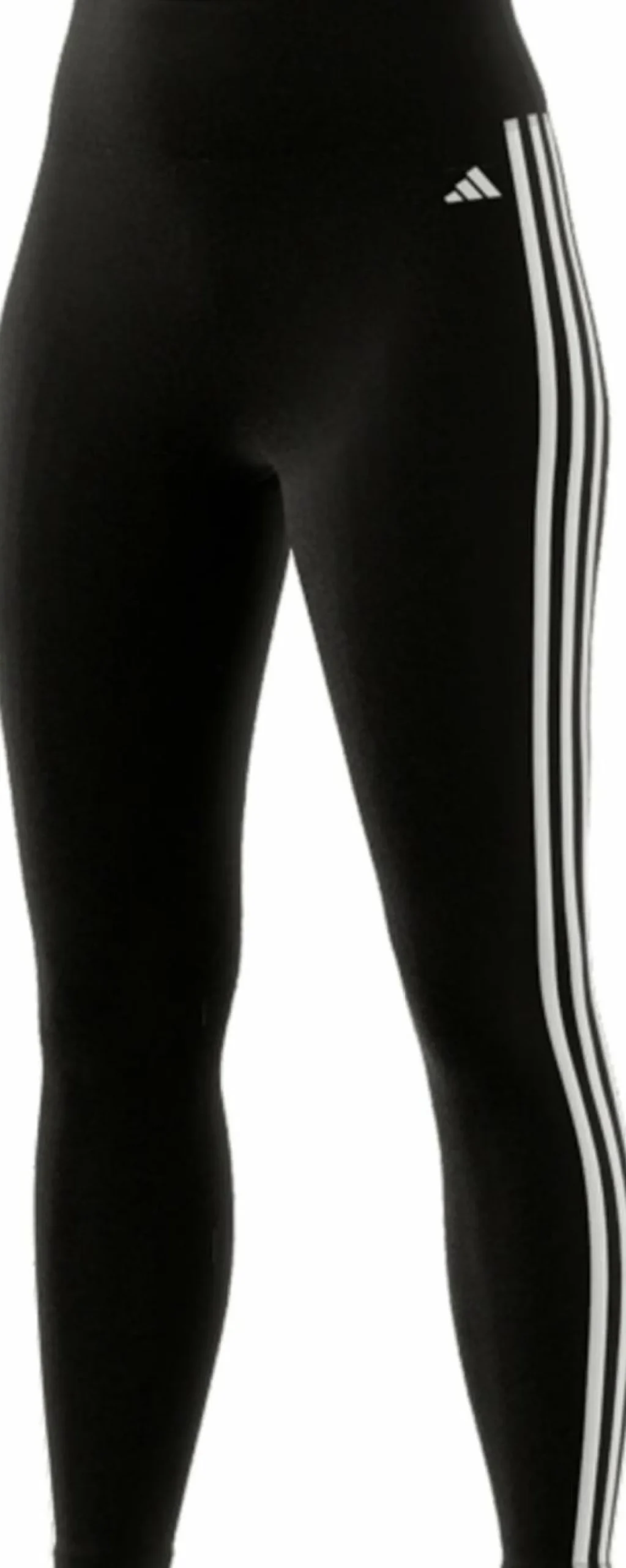 Tights "Essentials"
