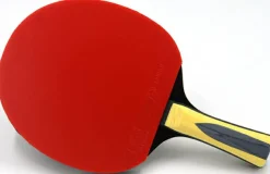 Tischtennisschläger