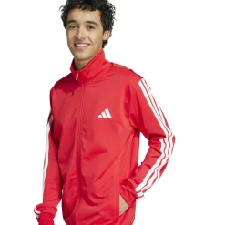 Trainingsanzug "Sportswear"