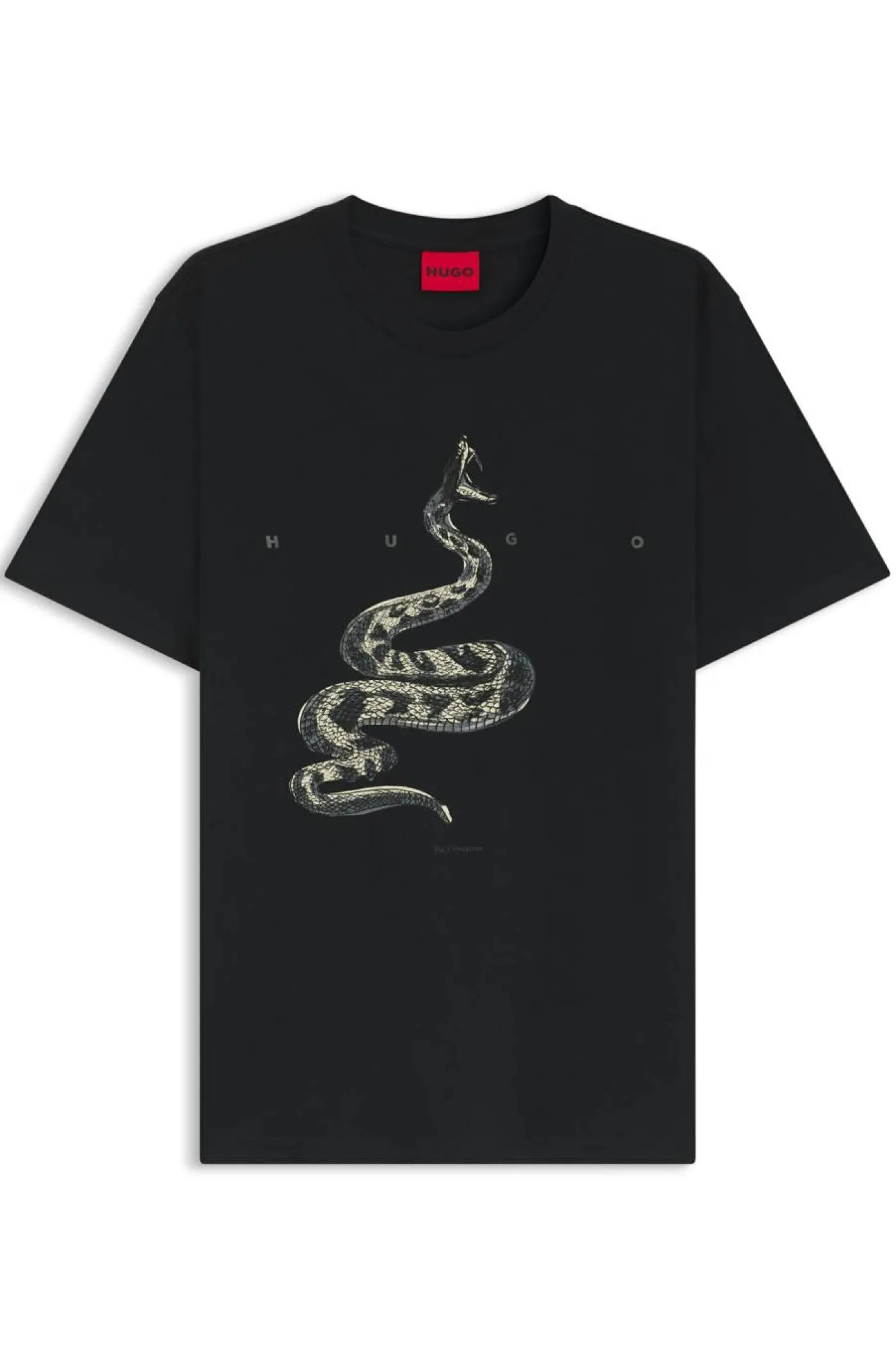 T-Shirt "Discorb"