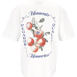 T-Shirt "Frombork"