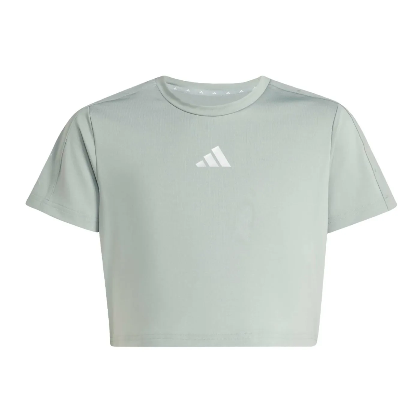 T-Shirt "Seasonal Essentials"