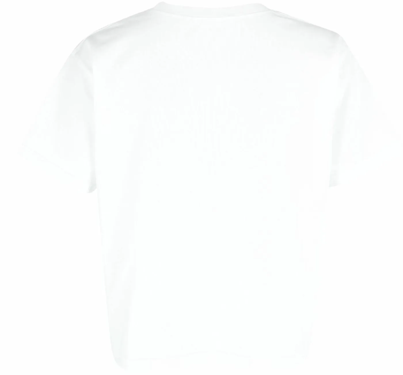 T-Shirt "Fizvalley"