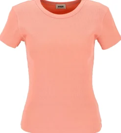 T-Shirt "Koale"