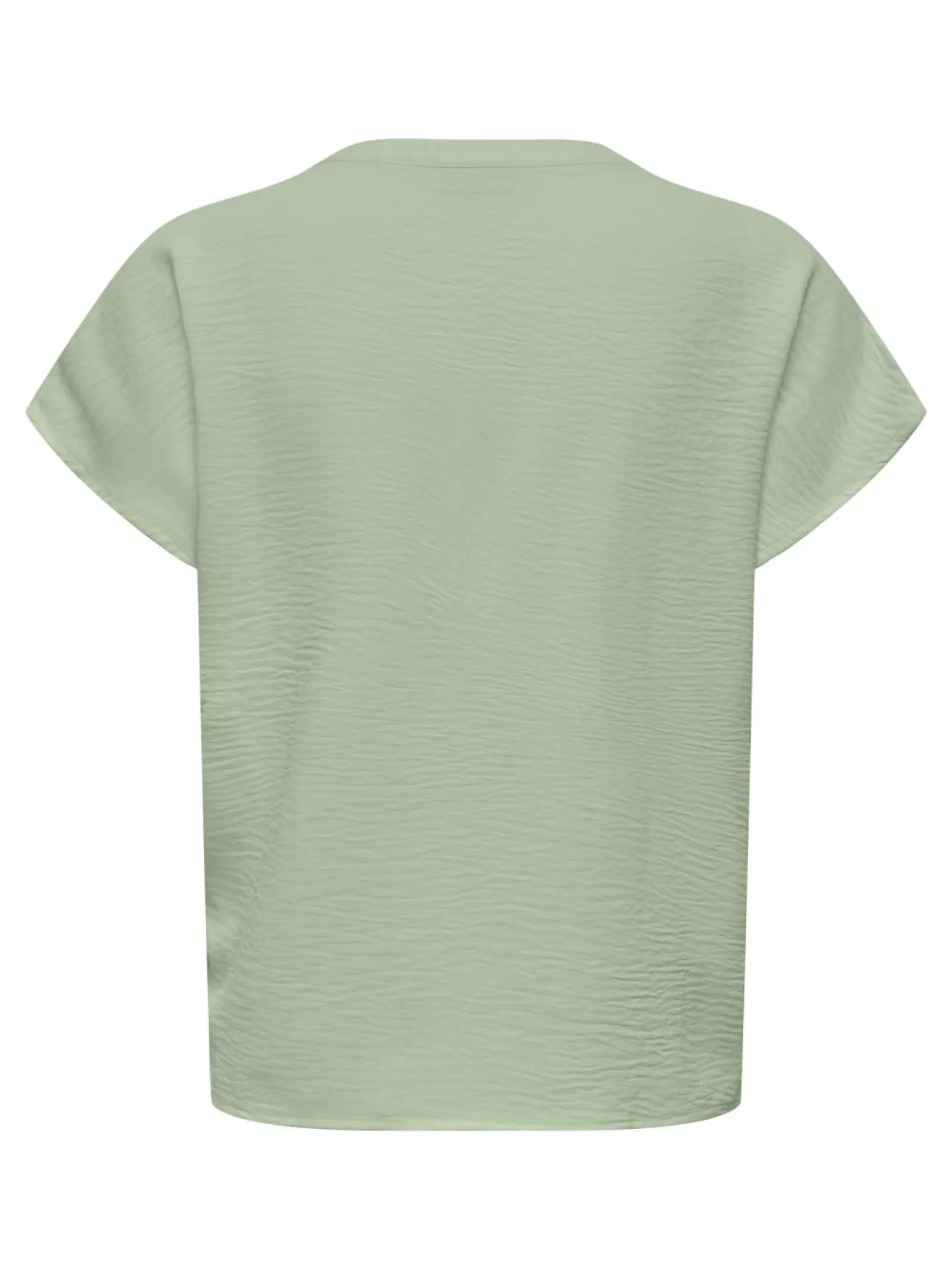 T-Shirt "Lion Life"