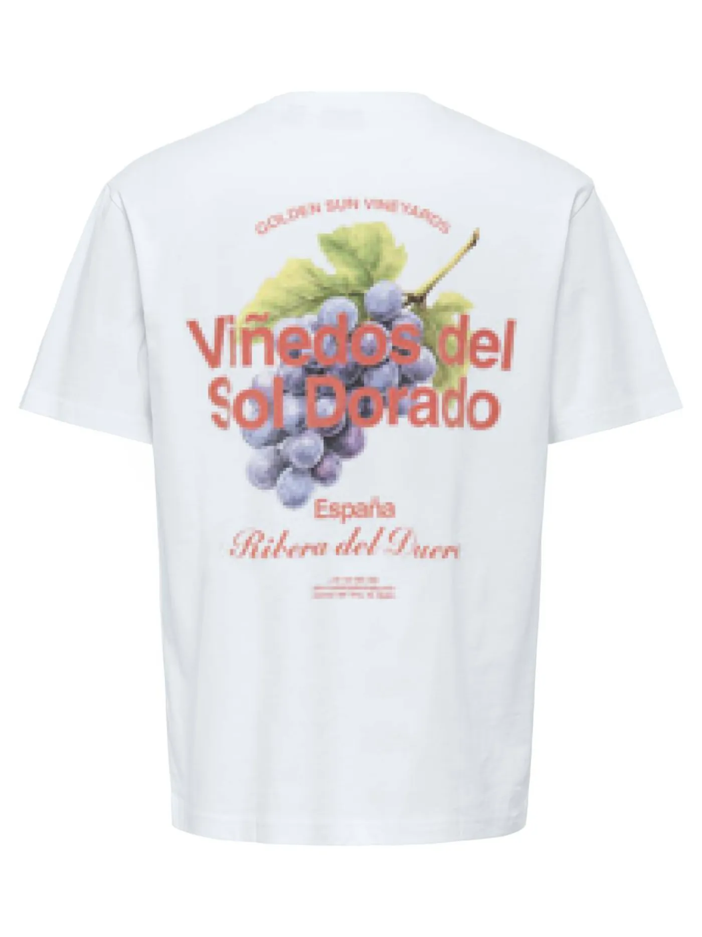 T-Shirt "ONSFRED"