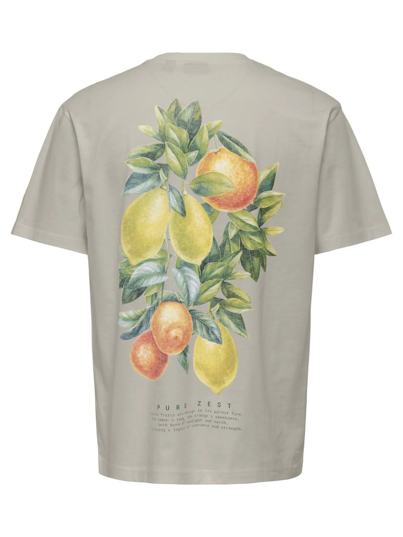 T-Shirt "ONSFRED"