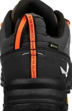 Wanderschuh "Alp Trainer 2 GTX M"