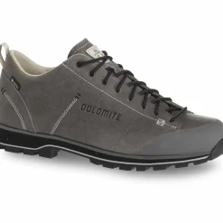 Wanderschuh "DOL 54 Low FG Evo GTX"