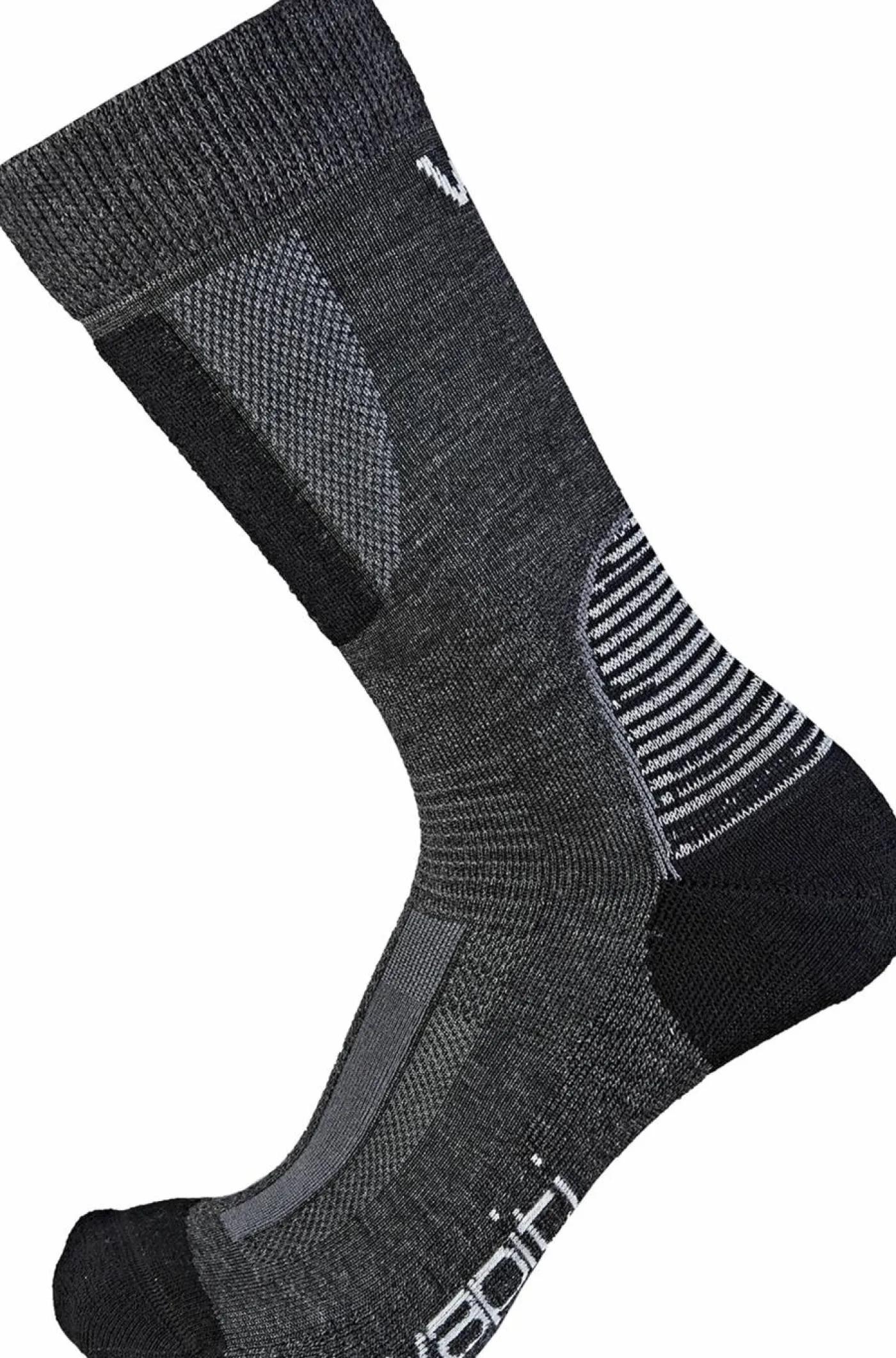 Wapiti S09