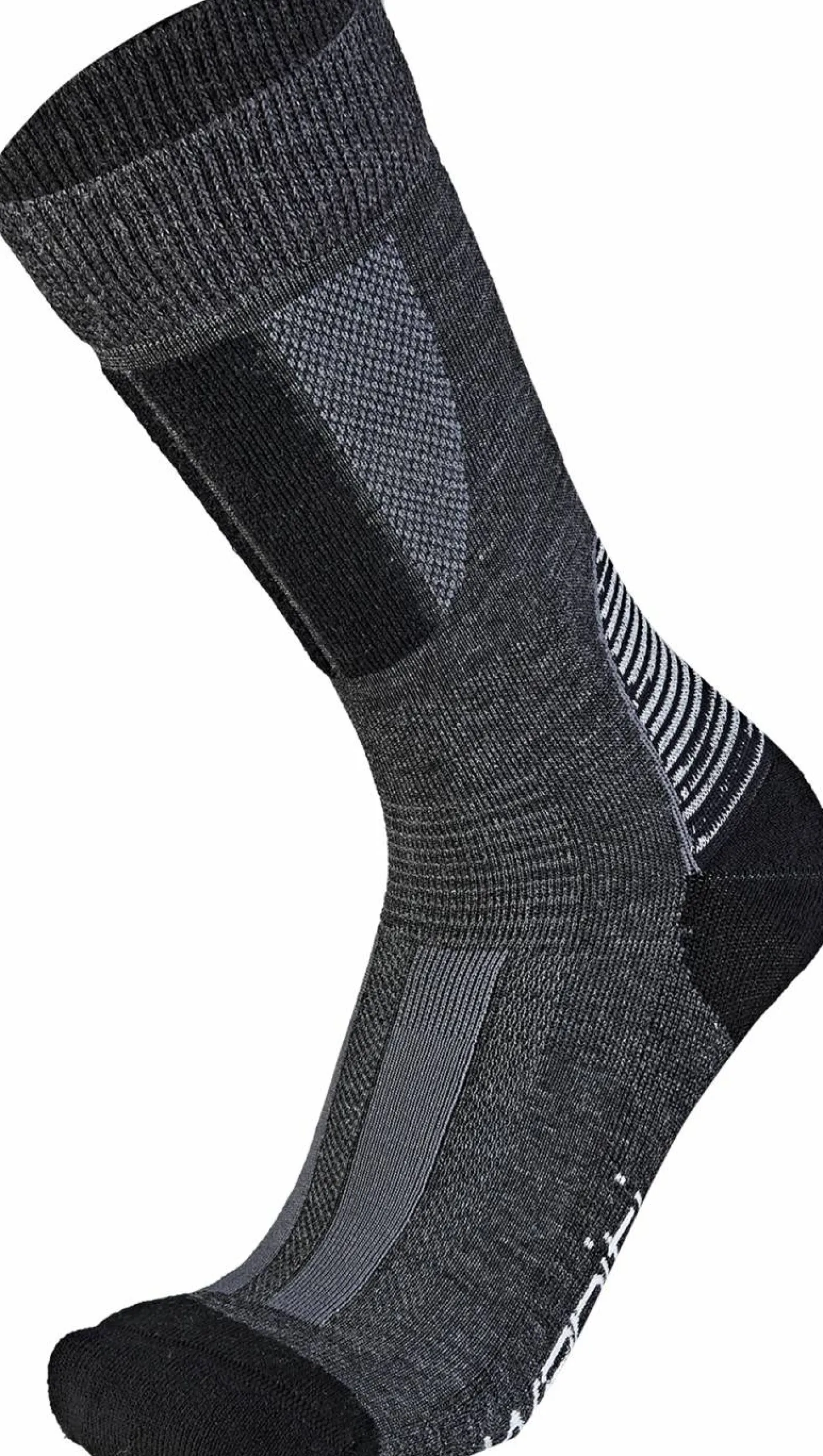 Wapiti S09
