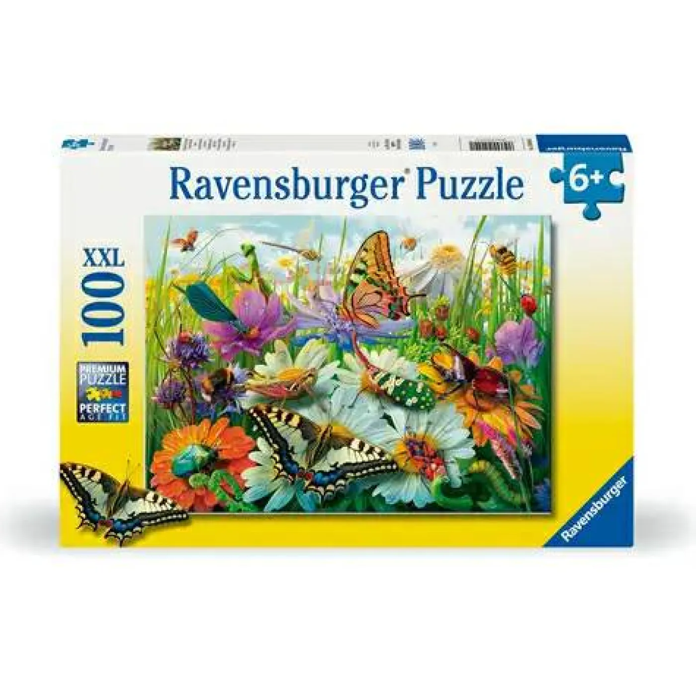 Wunderwelt der Insekten 10